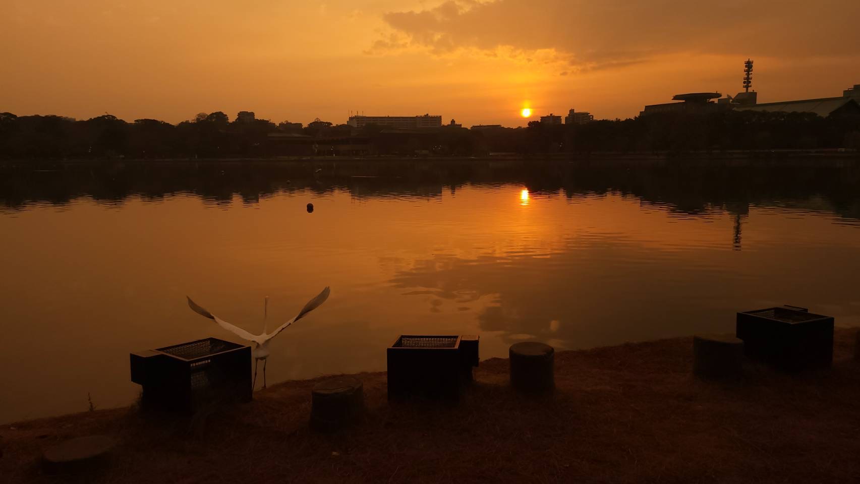 料理教室マンツーマン新年朝焼け
